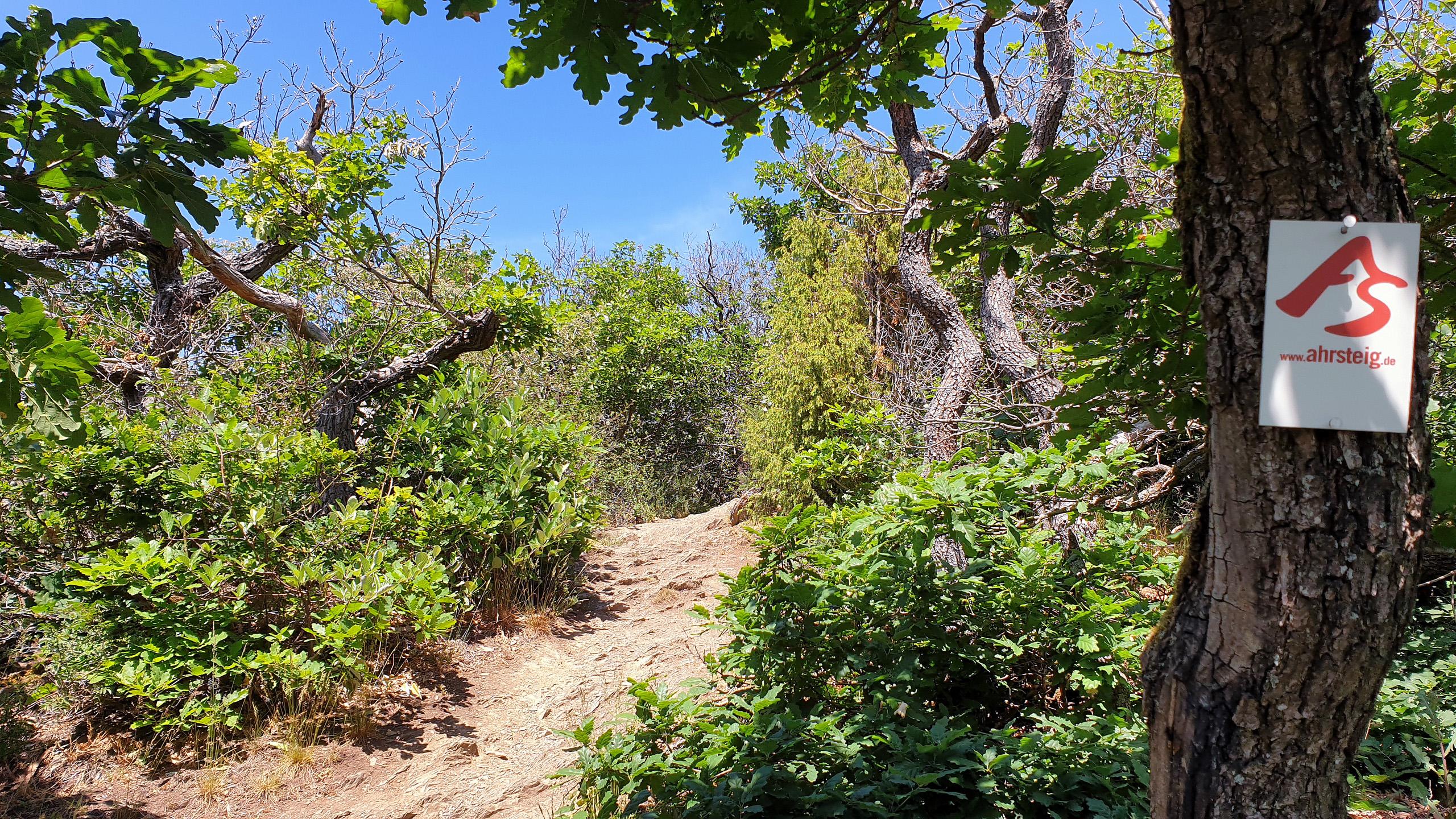 Krausberg, kurz vor dem "Gipfel"